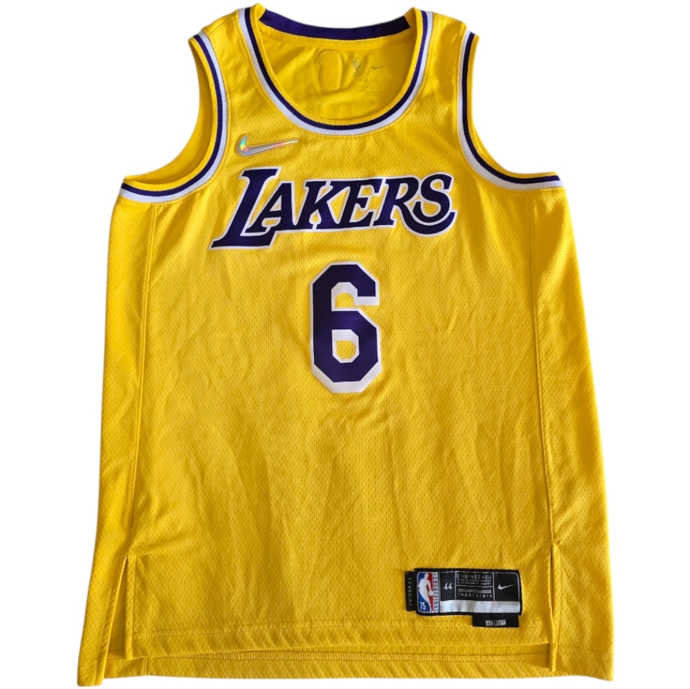LeBron James LA Lakers 2021-2022 NBA 75th Anniv. Icon Edition Nike Swingman NBA